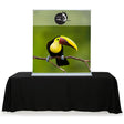 Table Top Retractable Displays In Four Sizes - Godfrey Group